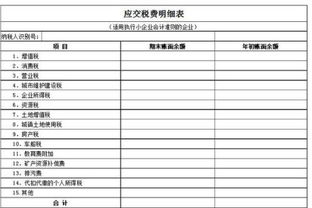 小企业会计准则中的应交税费的披露是什么报表