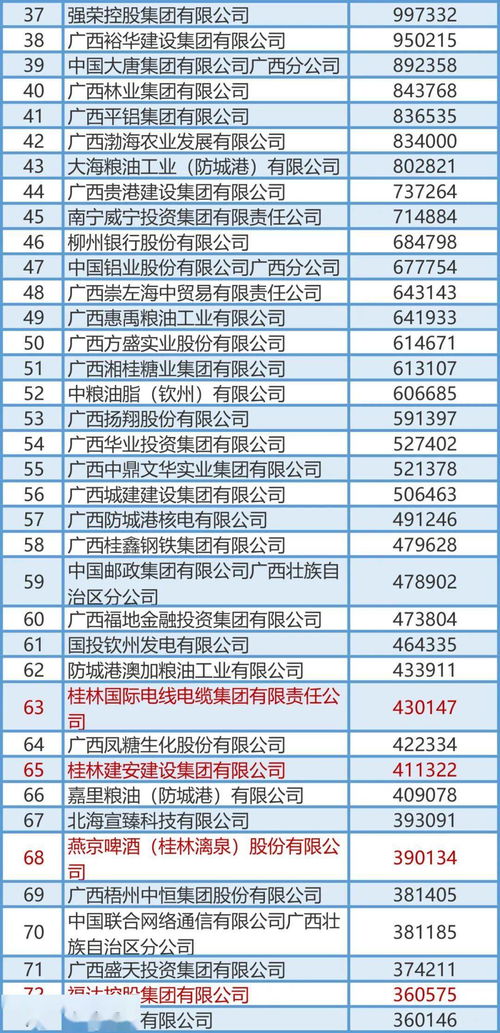 刚刚公布 桂林最有钱企业名单流出