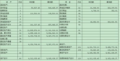 民办非企业单位会计科目及会计报表